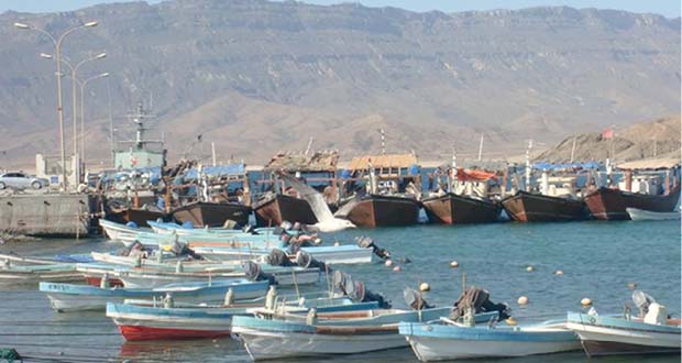 اليوم.. سلطنة عمان تحتفل باليوم العالمي للثروة السمكية