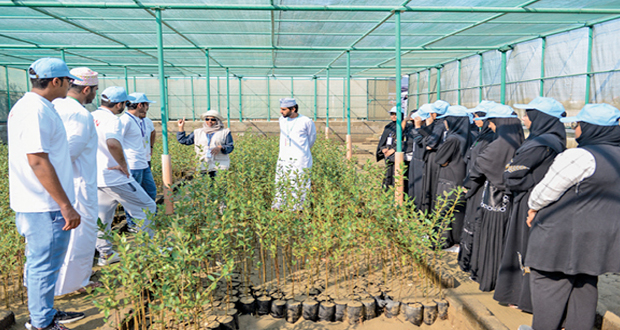 السعي نحو اقتصاد أخضر ودائري يستجيب للاحتياجات الوطنية وينسجم مع التوجهات العالمية