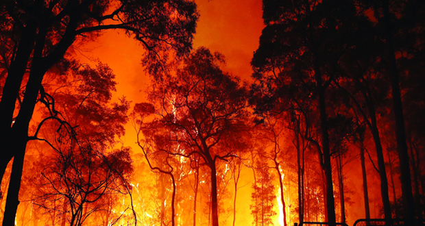 السيطرة على حرائق غابات منطقة "أكاماس" القبرصية