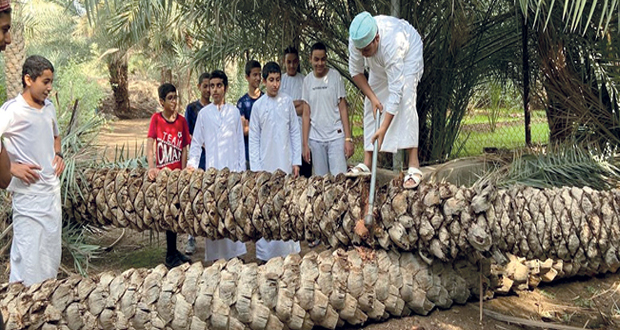 مشروع لتدوير مخلفات النخيل بالظاهرة