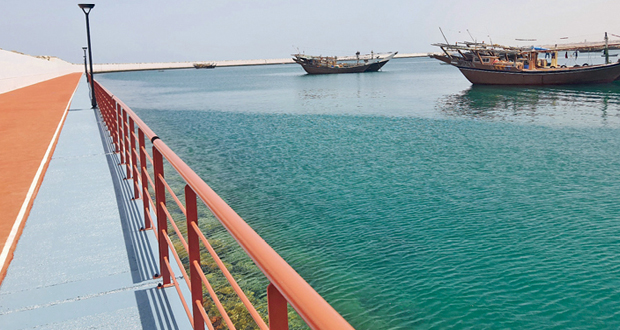 تطوير المسار الغربي بميناء الصيد البحري بصور