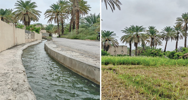 نزوى .. جمال الطبيعة والتراث العريق