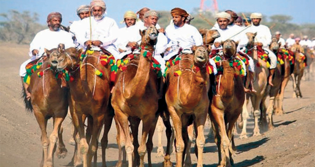 فن التغرود والهمبل فـي ختام مهرجان المغسر التراثي بالمصنعة